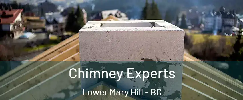 Chimney Experts Lower Mary Hill - BC