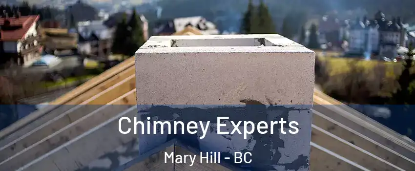 Chimney Experts Mary Hill - BC