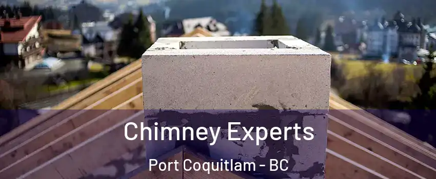 Chimney Experts Port Coquitlam - BC