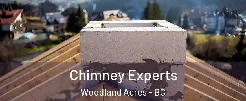 Chimney Experts Woodland Acres - BC