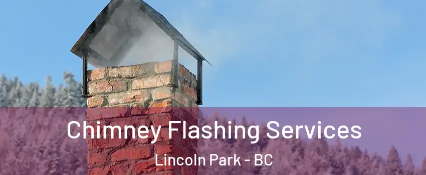 Chimney Flashing Services Lincoln Park - BC