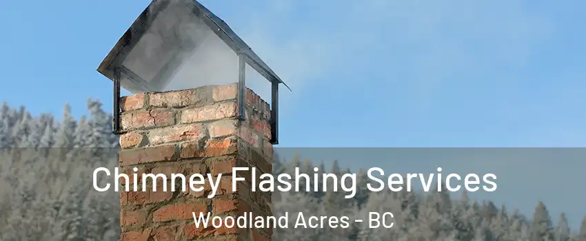 Chimney Flashing Services Woodland Acres - BC