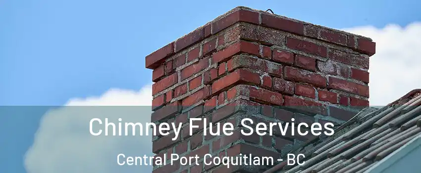  Chimney Flue Services Central Port Coquitlam - BC