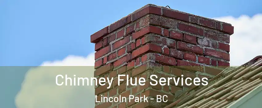  Chimney Flue Services Lincoln Park - BC