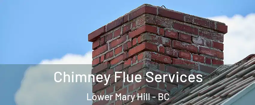  Chimney Flue Services Lower Mary Hill - BC