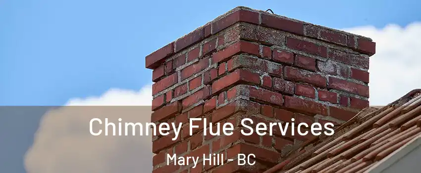  Chimney Flue Services Mary Hill - BC