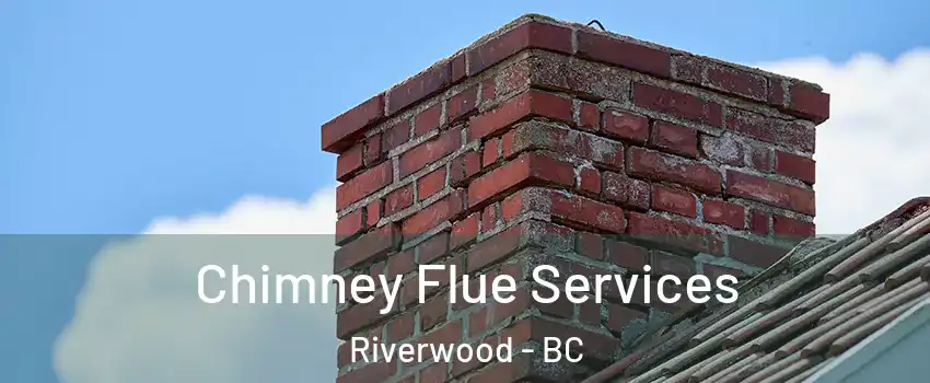  Chimney Flue Services Riverwood - BC