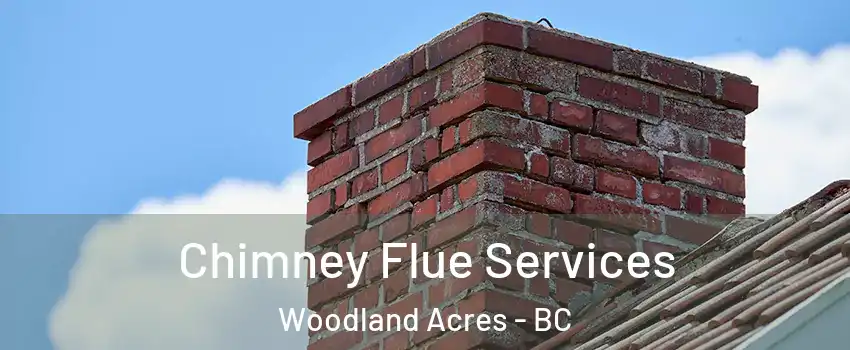  Chimney Flue Services Woodland Acres - BC