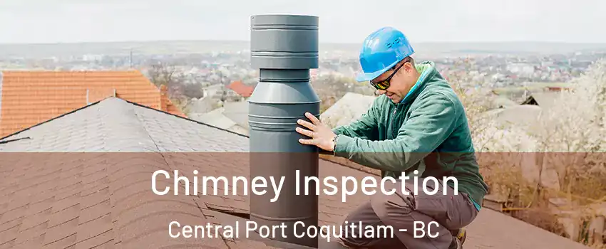  Chimney Inspection Central Port Coquitlam - BC