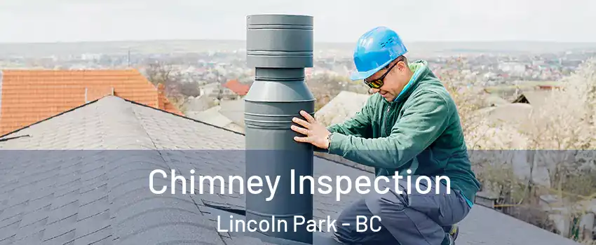  Chimney Inspection Lincoln Park - BC
