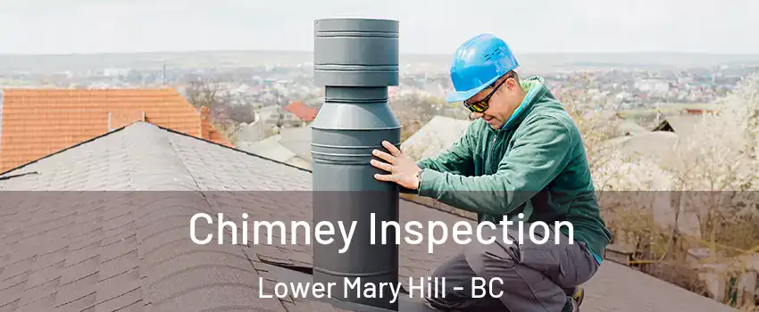  Chimney Inspection Lower Mary Hill - BC
