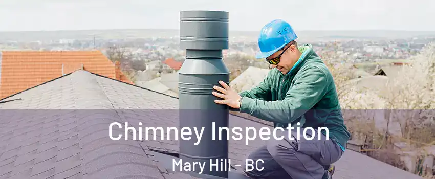  Chimney Inspection Mary Hill - BC