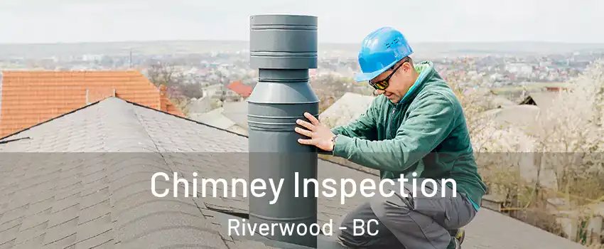 Chimney Inspection Riverwood - BC