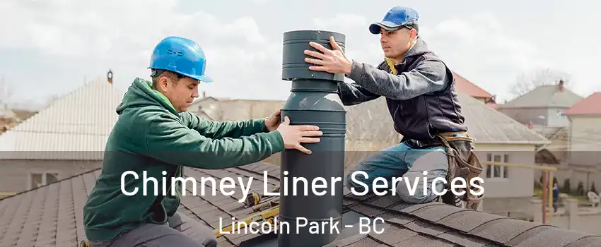  Chimney Liner Services Lincoln Park - BC