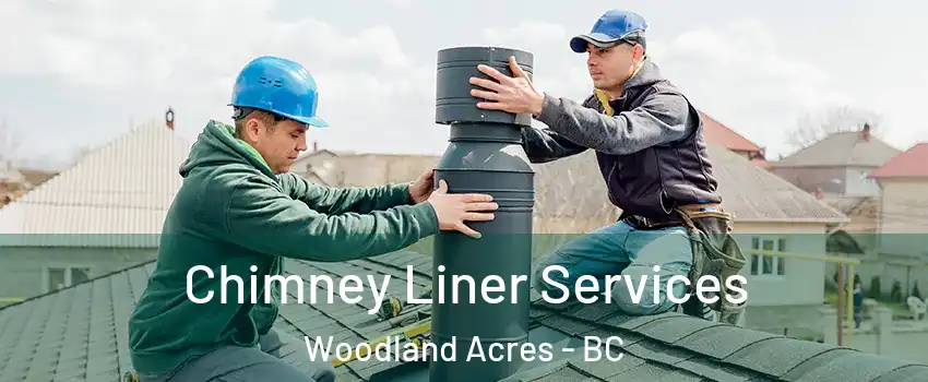  Chimney Liner Services Woodland Acres - BC