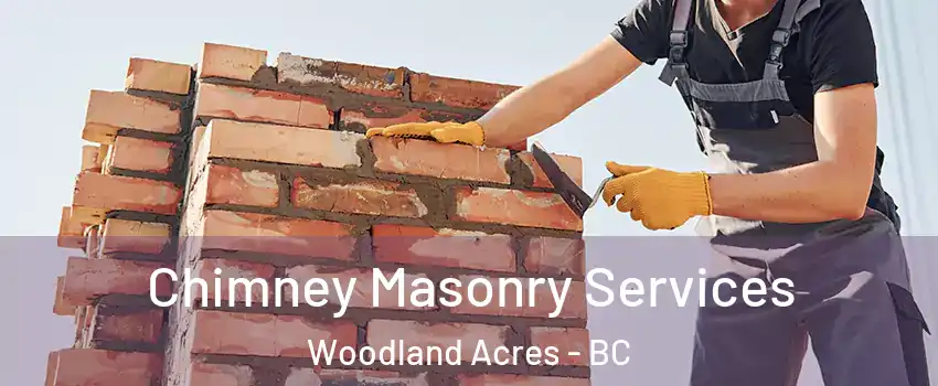  Chimney Masonry Services Woodland Acres - BC