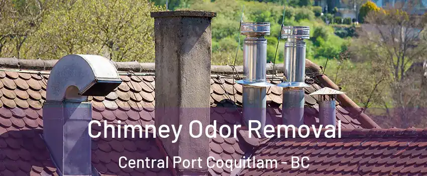  Chimney Odor Removal Central Port Coquitlam - BC