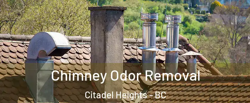  Chimney Odor Removal Citadel Heights - BC