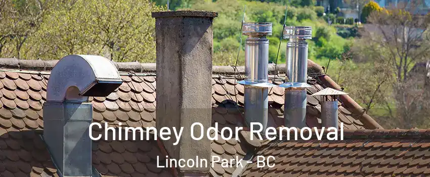  Chimney Odor Removal Lincoln Park - BC