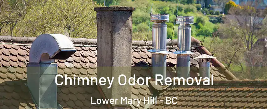  Chimney Odor Removal Lower Mary Hill - BC