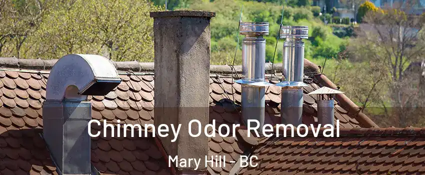  Chimney Odor Removal Mary Hill - BC
