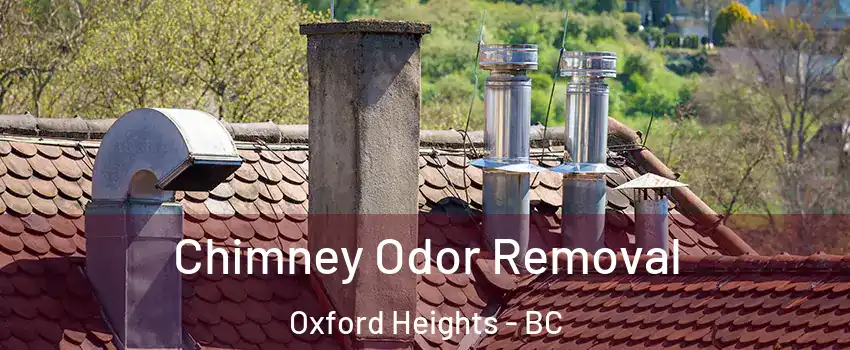  Chimney Odor Removal Oxford Heights - BC