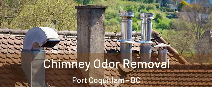  Chimney Odor Removal Port Coquitlam - BC