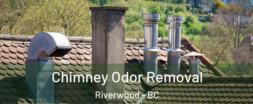  Chimney Odor Removal Riverwood - BC