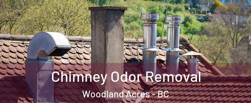  Chimney Odor Removal Woodland Acres - BC