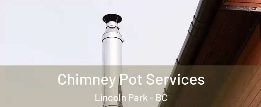  Chimney Pot Services Lincoln Park - BC