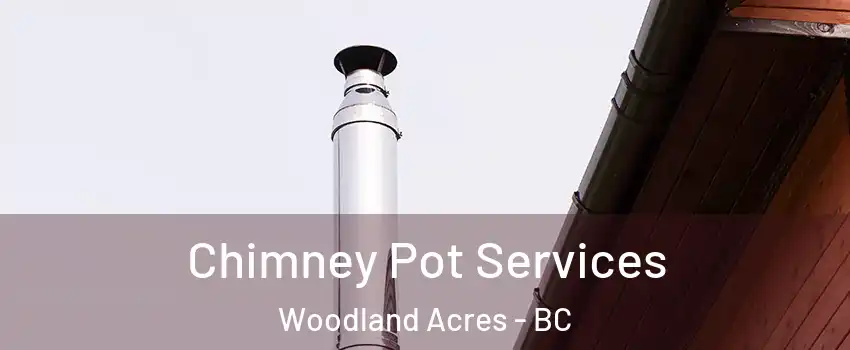  Chimney Pot Services Woodland Acres - BC