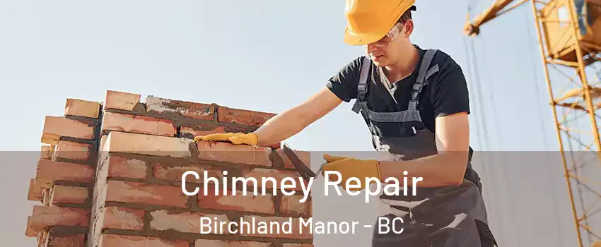  Chimney Repair Birchland Manor - BC