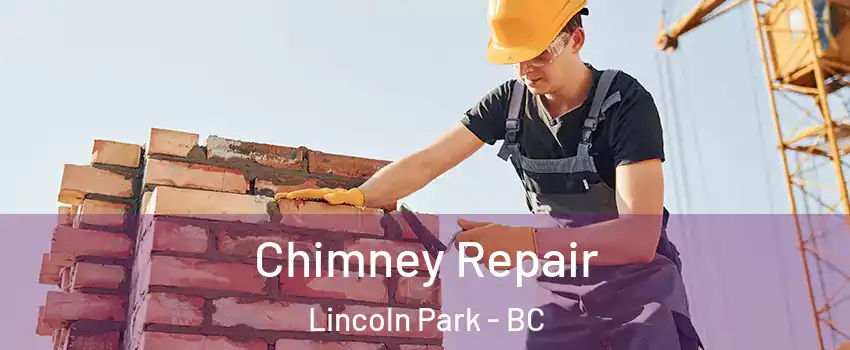  Chimney Repair Lincoln Park - BC