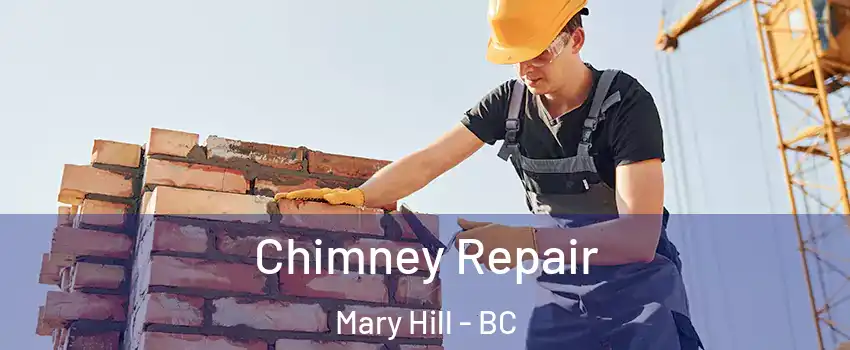  Chimney Repair Mary Hill - BC