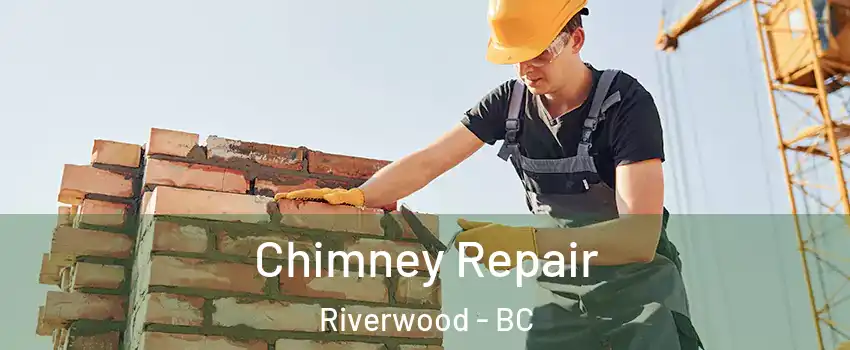  Chimney Repair Riverwood - BC