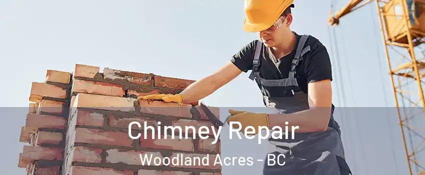  Chimney Repair Woodland Acres - BC