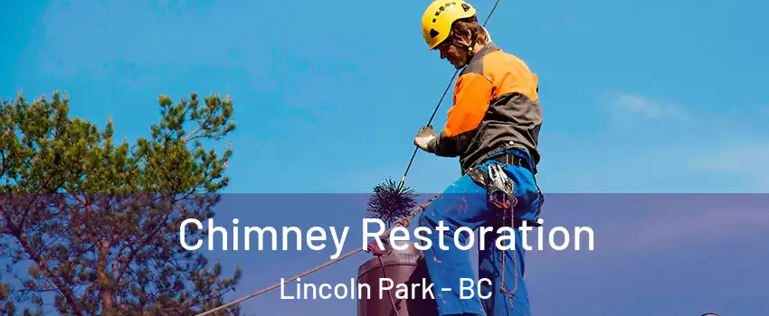  Chimney Restoration Lincoln Park - BC