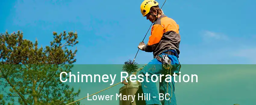  Chimney Restoration Lower Mary Hill - BC