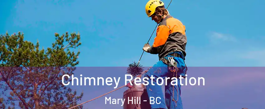  Chimney Restoration Mary Hill - BC