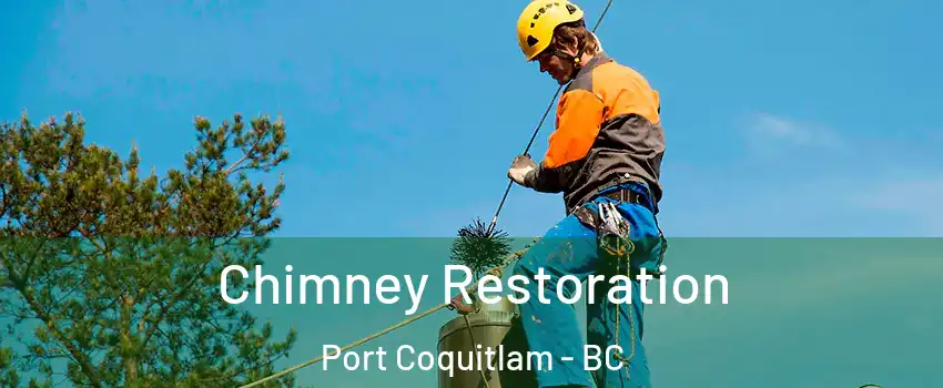  Chimney Restoration Port Coquitlam - BC