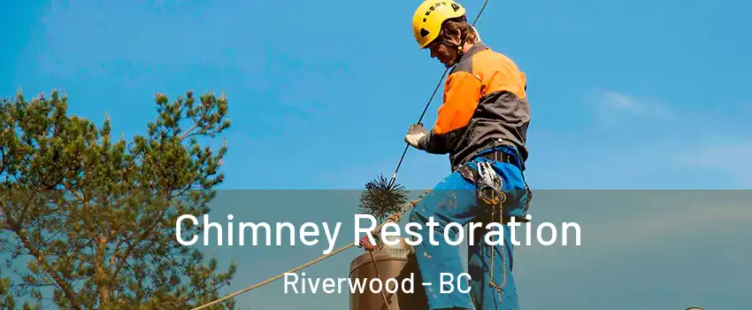  Chimney Restoration Riverwood - BC