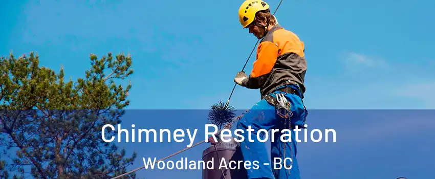  Chimney Restoration Woodland Acres - BC