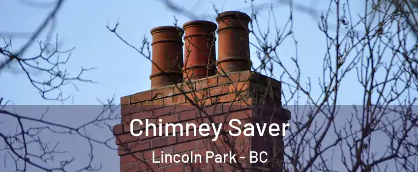  Chimney Saver Lincoln Park - BC