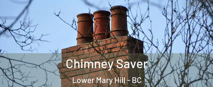  Chimney Saver Lower Mary Hill - BC