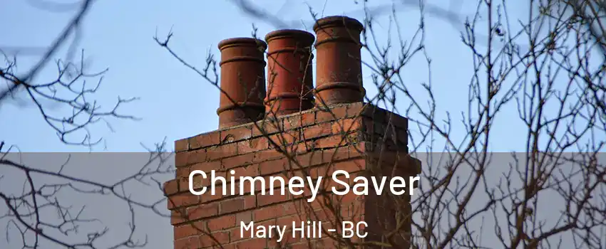  Chimney Saver Mary Hill - BC