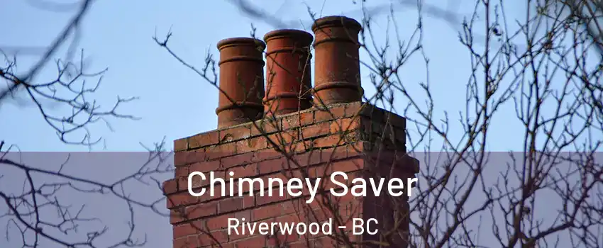  Chimney Saver Riverwood - BC