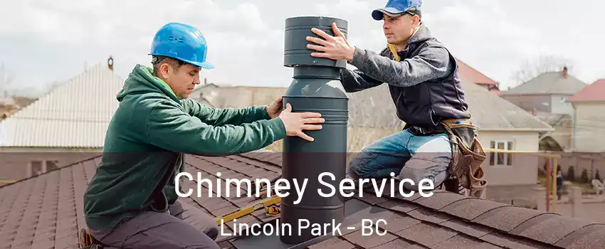  Chimney Service Lincoln Park - BC