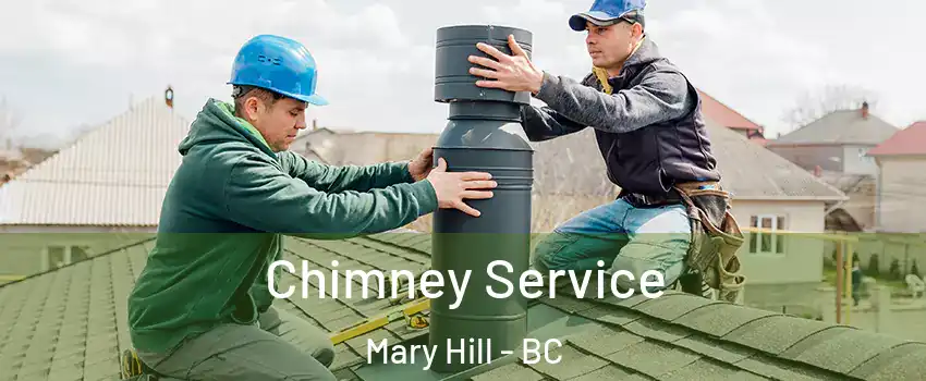  Chimney Service Mary Hill - BC
