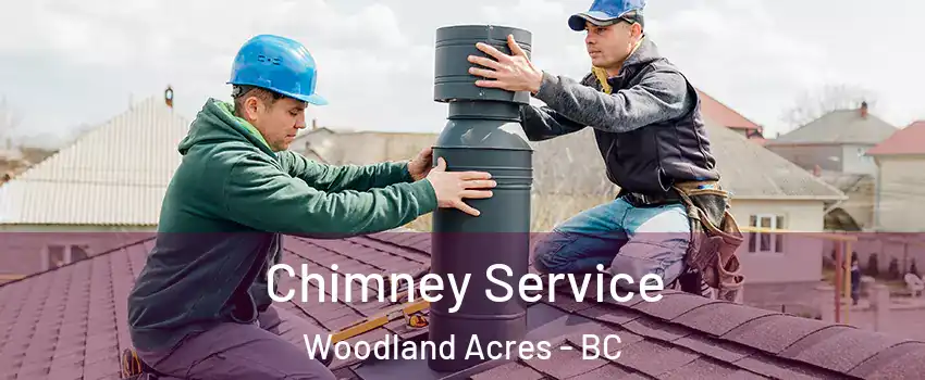  Chimney Service Woodland Acres - BC