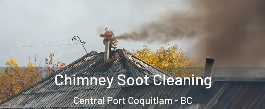  Chimney Soot Cleaning Central Port Coquitlam - BC